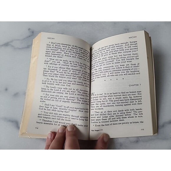 Living Prophecies With Daniel And The Revelation Paperback - Picture 5 of 10